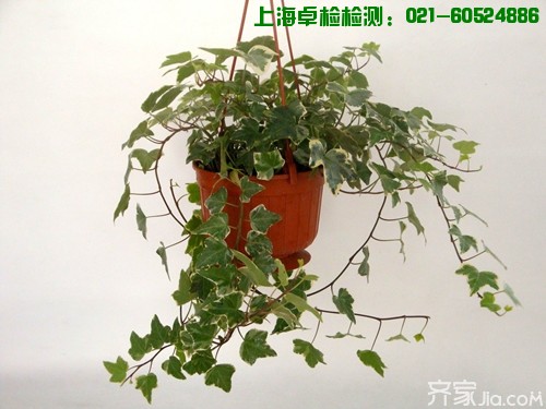 上海室內空氣質量檢測中心-上海CMA檢測報告