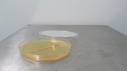 上海室內(nèi)空氣質(zhì)量檢測中心-上海CMA檢測報告