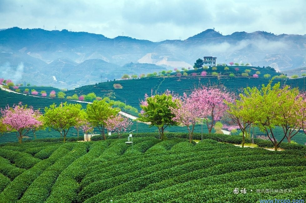 上海室內(nèi)空氣質(zhì)量檢測(cè)中心-上海CMA檢測(cè)報(bào)告