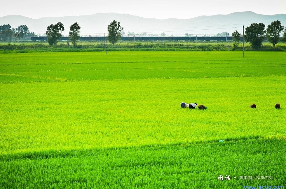 上海室內(nèi)空氣質(zhì)量檢測(cè)中心-上海CMA檢測(cè)報(bào)告
