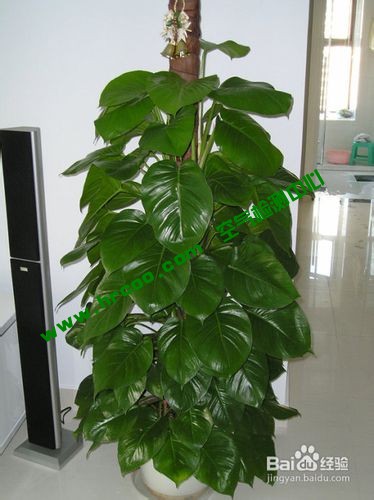 上海室內(nèi)空氣質(zhì)量檢測中心-上海CMA檢測報(bào)告